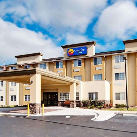Comfort Inn Mount Airy Ngoại thất bức ảnh